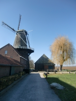 Stevensweert NL : Bilt, die Hompesche Molen ( ehem. Getreide- und Ölmühle ) aus dem Jahr 1722, ist mit acht Stockwerken, einschließlich Flügel fast 37 Meter hoch und somit die höchste Mühle der Provinz Limburg. Sie beherbergt das Infozentrum der Grenzmaas ( der Niederlande und Belgien ).